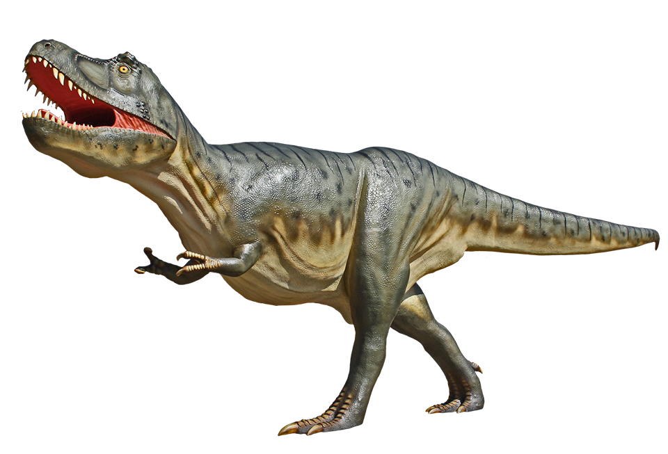 Tyrannosaurus Rex