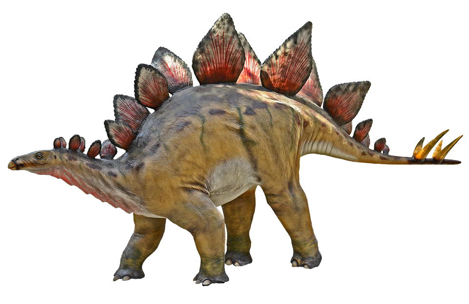 Dinosaurier: Stegosaurus