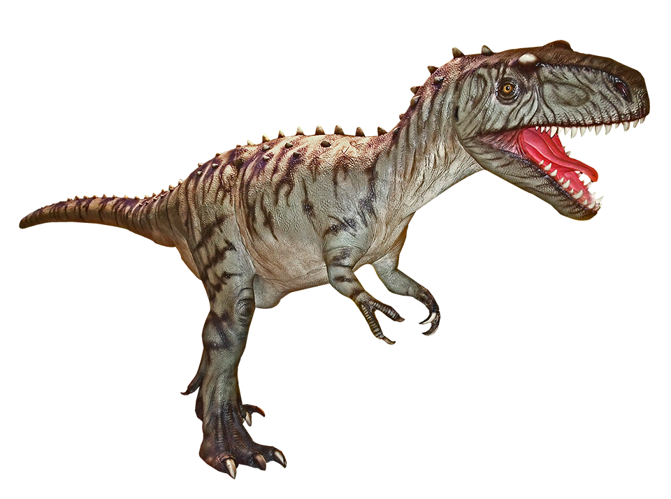 Dinosaurier: Albertosaurus