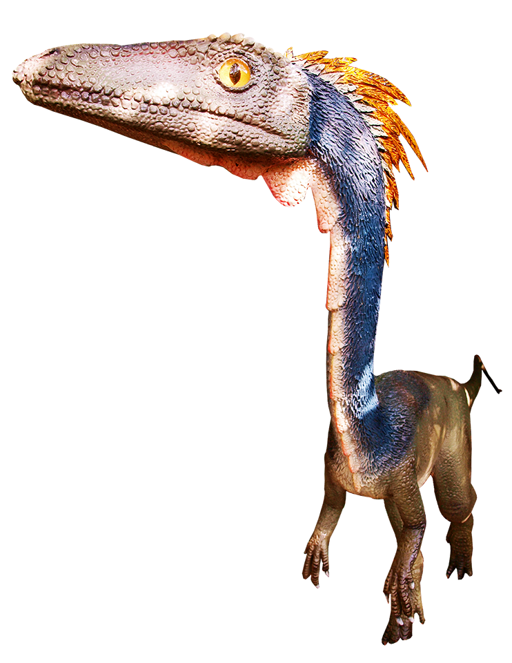 Dinosaurier: Coelophysis