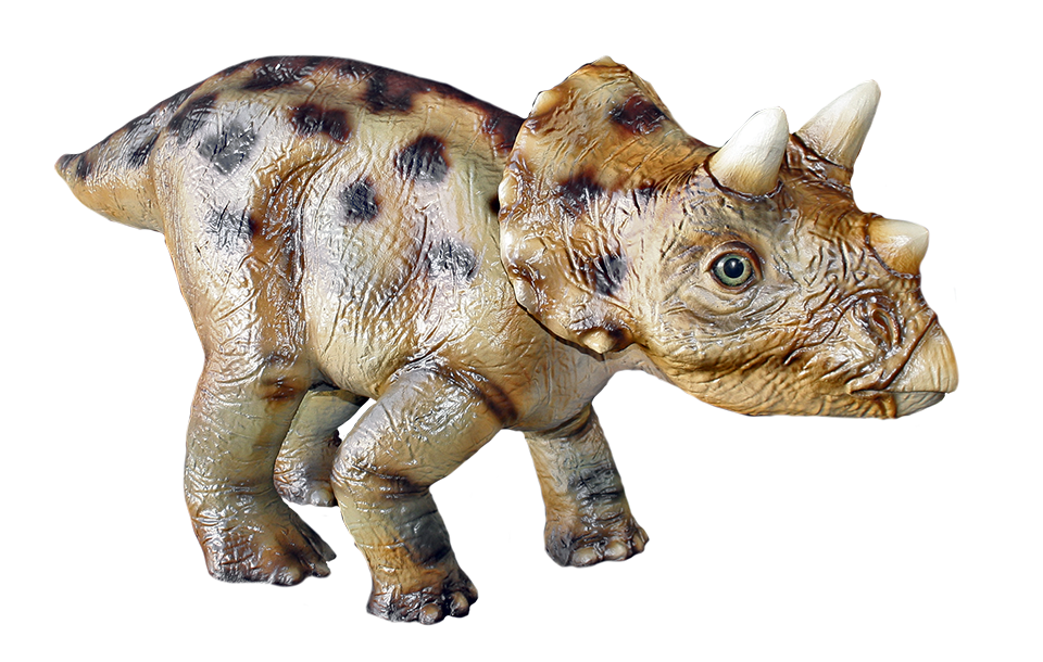 Dinosaurier: Triceratops Baby stehend