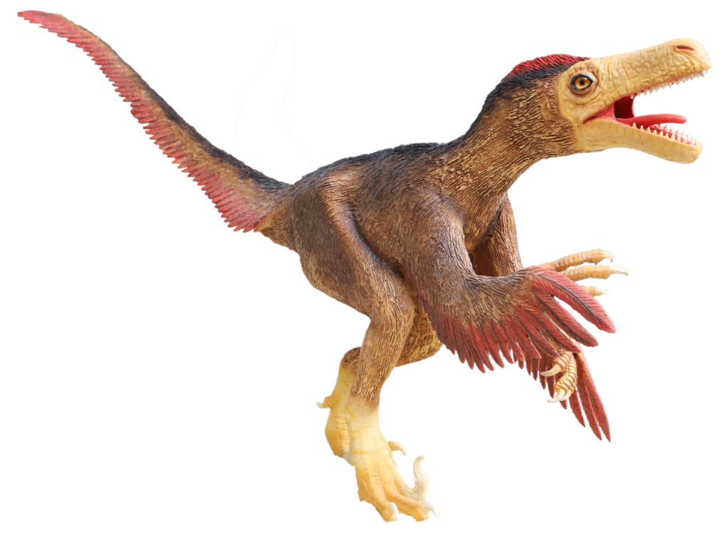 Dinosaurier: Velociraptor aufrecht